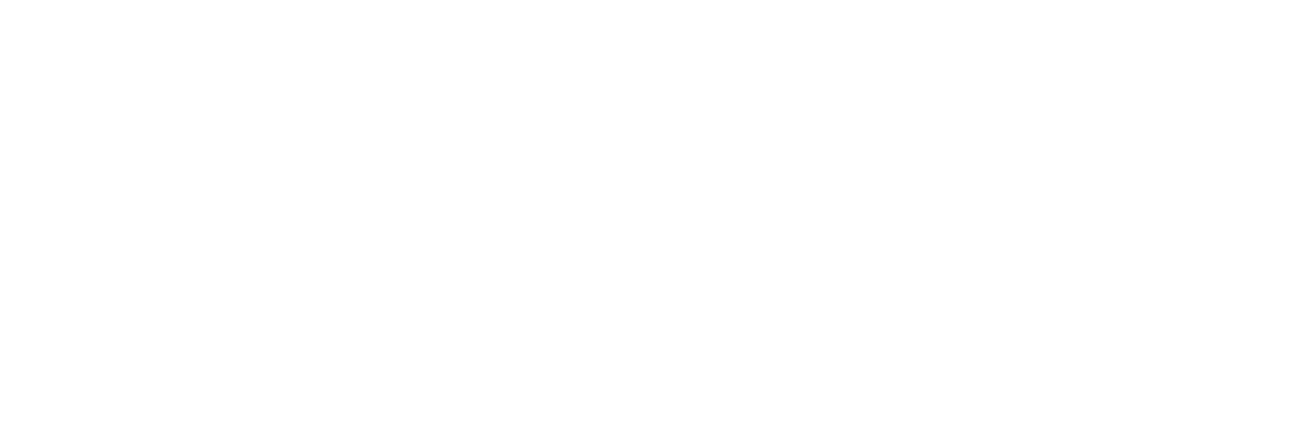 Mudiweb